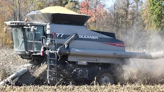 Maxed Out Corn - Tracks On - Tough Field - The Gleaner Difference - S77 - Harvest 2021 Chasing
