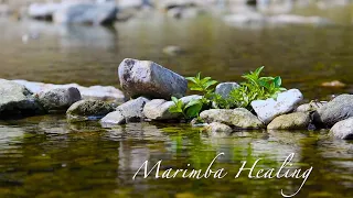 Surrounded by the sound of marimba｜healing music｜relax time｜natural sound