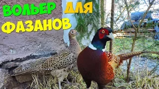 Супер Вольер для фазанов! Разведения фазанов