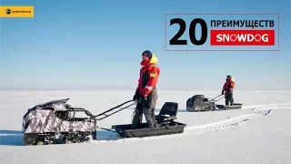 Snowdog: 20 преимуществ