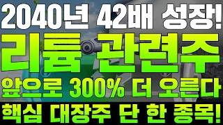 2차전지 리튬 관련주 대장주 2040년 42배 성장! 앞으로 300% 더 오른다! (POSCO홀딩스,에코프로,금양,미래나노텍,이엔플러스,포스코엠텍,하이드로리튬,웰크론한텍)