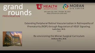 Extending Peripheral Retinal Vascularization in ROP; Re-envisioning the Moran Surgical Curriculum