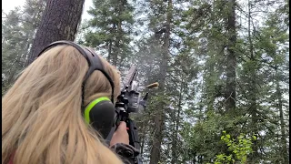 Idaho Bear Hunt With Hounds Part 2