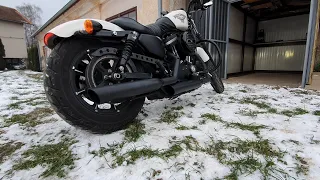 Harley Davidson Iron 883 - Cold Start & Rev - Screamin' Eagle