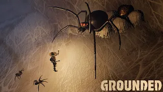 Where To Find Black Widow Spiders in Grounded | All 4 Black Widow Locations