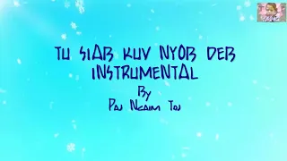 Tu Siab Kuv Nyob Deb Instrumental by Paj Ncaim Toj.