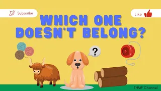 Phonics Fun: Which One Doesn't Belong? | Learn Letter Sounds Game for Kids