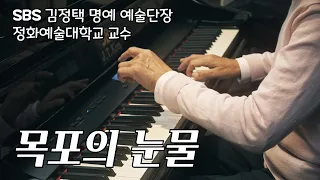 목포의 눈물 - SBS 김정택 예술단 단장 트로트 피아노 연주 pure imagination trot piano
