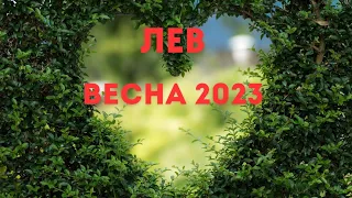 ЛЕВ🌈ВЕСНА 2023 года🍀МАРТ АПРЕЛЬ МАЙ🍀ГОРОСКОП ТАРО Ispirazione