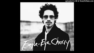 Eagle-eye cherry - Are you still having fun?  (2000)