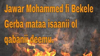 Jawar Mohammed fi Bekele Gerba mataa isaanii ol qabanii deemu.💪