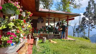 La vida en el campo y sus bellos  jardines en  Cajamarca colombia .