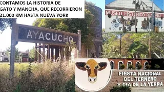 🇦🇷 Ayacucho, tiene la fiesta del ternero y la yerra