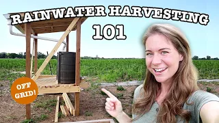 RAINWATER COLLECTION FOR BEGINNERS | 16 Things To Know About Harvesting Rain Water BEFORE You Start