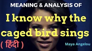 I know why the caged bird sings by Maya Angelou in Hindi | I know why the caged bird sings in Hindi