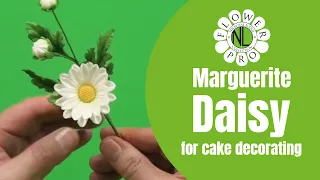 Flower Pro Marguerite Daisy For Cake Decorating