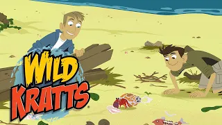 Wild Kratts | Nature's Wonders! | Kids Videos