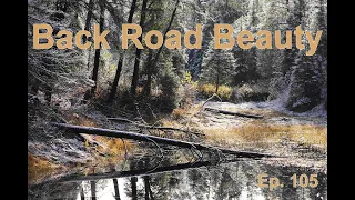 My Bigfoot Story Ep. 105 - Frosty Morning Old Logging Roads