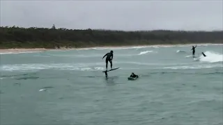 Zane Westwood Prone Foil Ripper