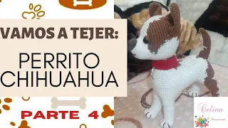 ✌✌Perrito Chihuahua a crochet🐾/ Tutorial paso a paso-PARTE 4 cuerpo😀 Amigurumi