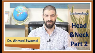 Medical Embryology || Head and Neck development (Part 2)|| Dr. Ahmed Zwamel 2020-2021