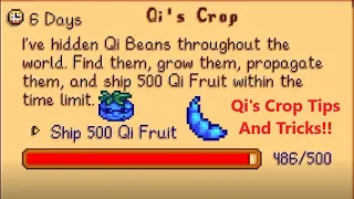 Tips And Tricks For Completing The Qi's Crop Quest In The Stardew Valley 1.5 Update!!