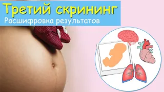 Третий скрининг при беременности. Расшифровка результатов и нормы