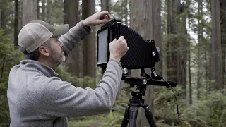 Large Format Landscape Photography in the Redwoods S1E9