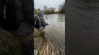 Еще один трофейный форель. Рыбалка на форель. Кыргызстан 🇰🇬 Суусамыр.