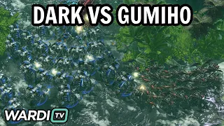 Dark vs GuMiho (ZvT) - FINALS ESL Open Cup Korea 222 [StarCraft 2]