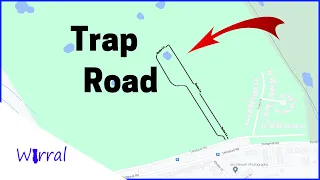 I Found a Trap Road