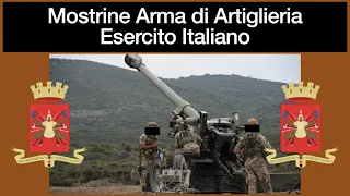 Mostrine Arma di Artiglieria Esercito Italiano