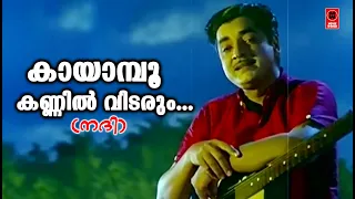 Kayampoo Kannil Vidarum - Nadhi(1969) | K.J Yesudas | Vayalar ramavarma | G Devarajan | Movie Song