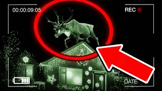 15 Times Rudolph The Red nosed Reindeer Caught on Camera on ROOF