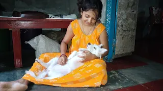 dog funny video //indian Spitz dog puppy /আমাদের বুবলিসোনা সারাদিন আদর খাবে🥰 #dog