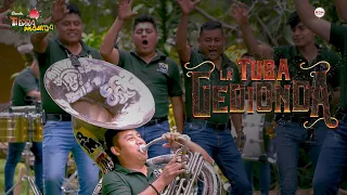 Banda Tierra Mojada - La Tuba Gedionda (En vivo)