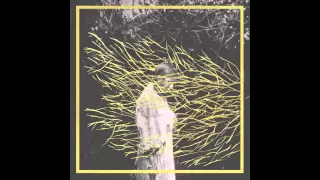 Forest Swords - The Plumes