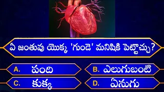 Interesting Questions In Telugu|Episode-46|By Rk thoughts|Unknown Facts|Genera Knowledge|Telugu Quiz