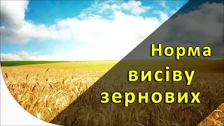 Норма висіву зернових на гектар [GrowEx]