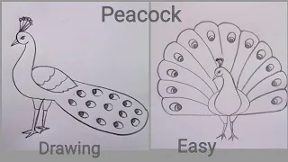 how to draw peacock drawing easy step by step@DrawingTalent