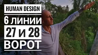 Дизайн Человека 27 и 28 ворота. 6 линии Даниил Трофимов. Human Design