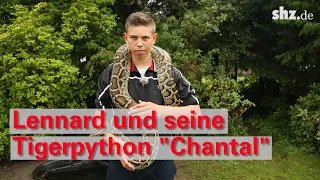 Lennard und seine Tigerpython Chantal: Der Schlangenjunge aus Tornesch