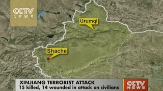 15 killed, 14 injured in Xinjiang terrorist attack