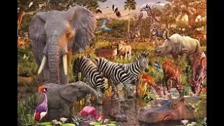 Animal world 2017 | National Geographic Documentary -Animal world of Kamchatka Peninsula