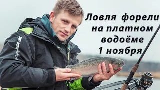 Форель на платном водоёме в начале ноября