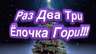 С Новым 2017 годом! Раз Два Три Ёлочка гори!