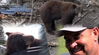 BLACK BEAR HUNTING WITH RAVIN CROSSBOW