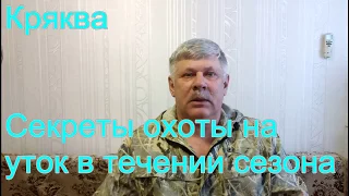 Секреты охоты на водоплавающую дичь. Как и где добыть утку в течении охотничьего сезона.