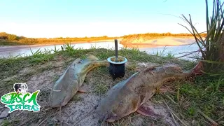 TREMENDA pesca de BAGRES GRANDES en un INCREÍBLE LUGAR río Gualeguay😱