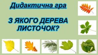 З якого дерева листочок? Дидактична гра